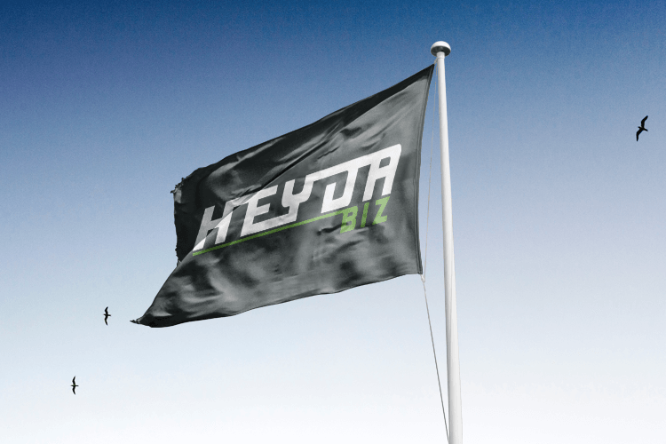 Heyda.biz logo auf einer Flagge